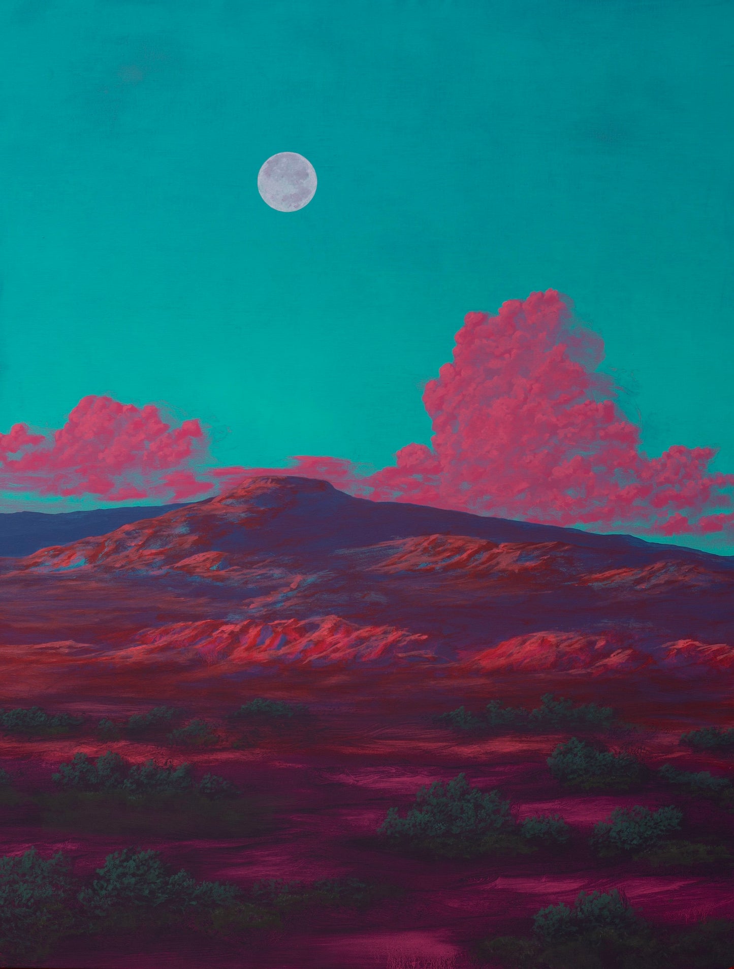 Ghost Ranch No.9 - 50" x 40"