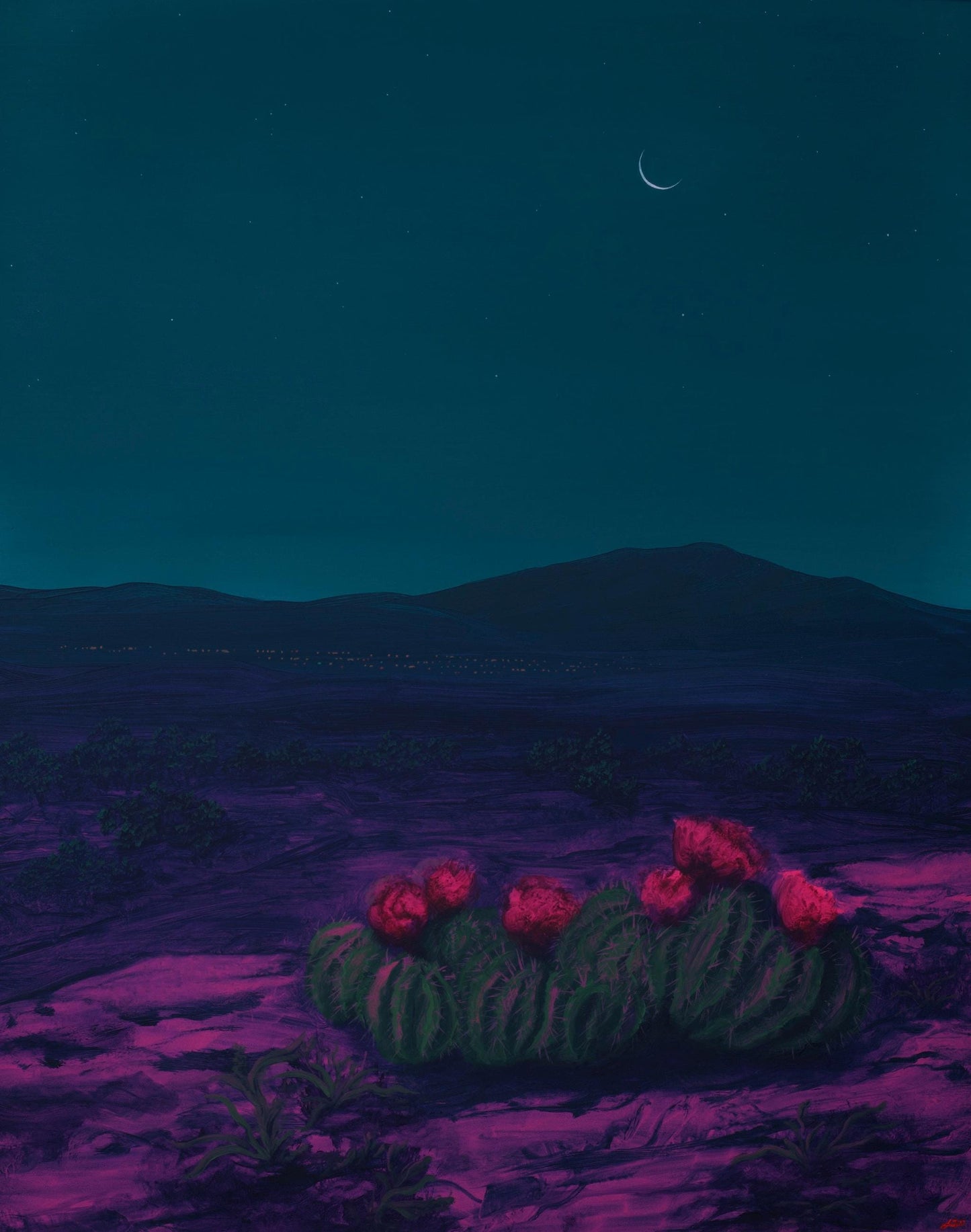 Santa Fe Nocturne w. Scarlet Hedgehog – Unframed Print