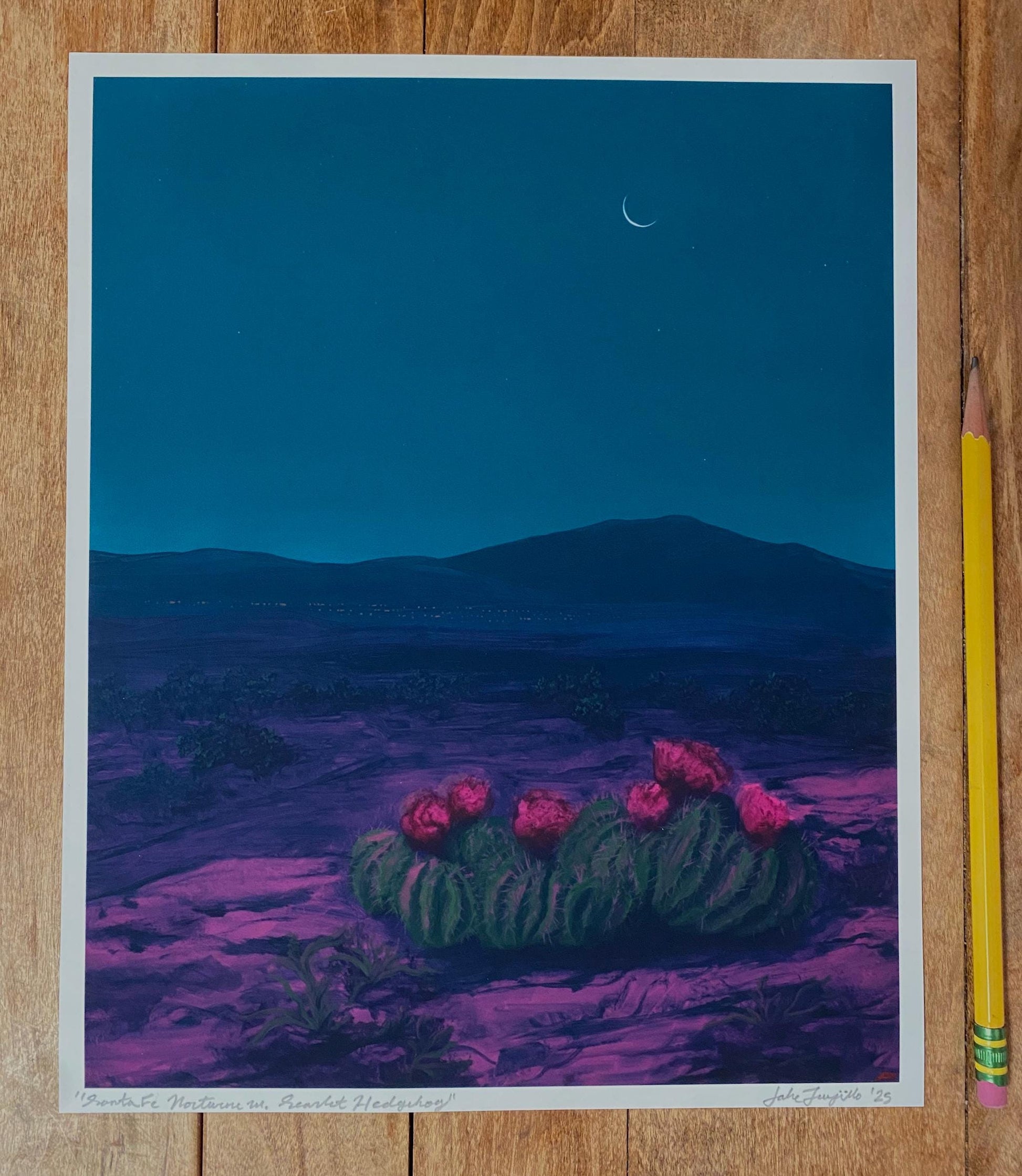 Santa Fe Nocturne w. Scarlet Hedgehog – Unframed Print