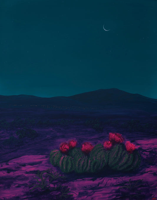 Santa Fe Nocturne w. Scarlet Hedgehog – Unframed Print