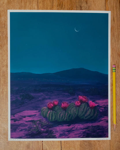 Santa Fe Nocturne w. Scarlet Hedgehog – Unframed Print