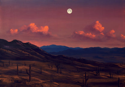Saguaro National Park, August 2026 - 41" x 59"