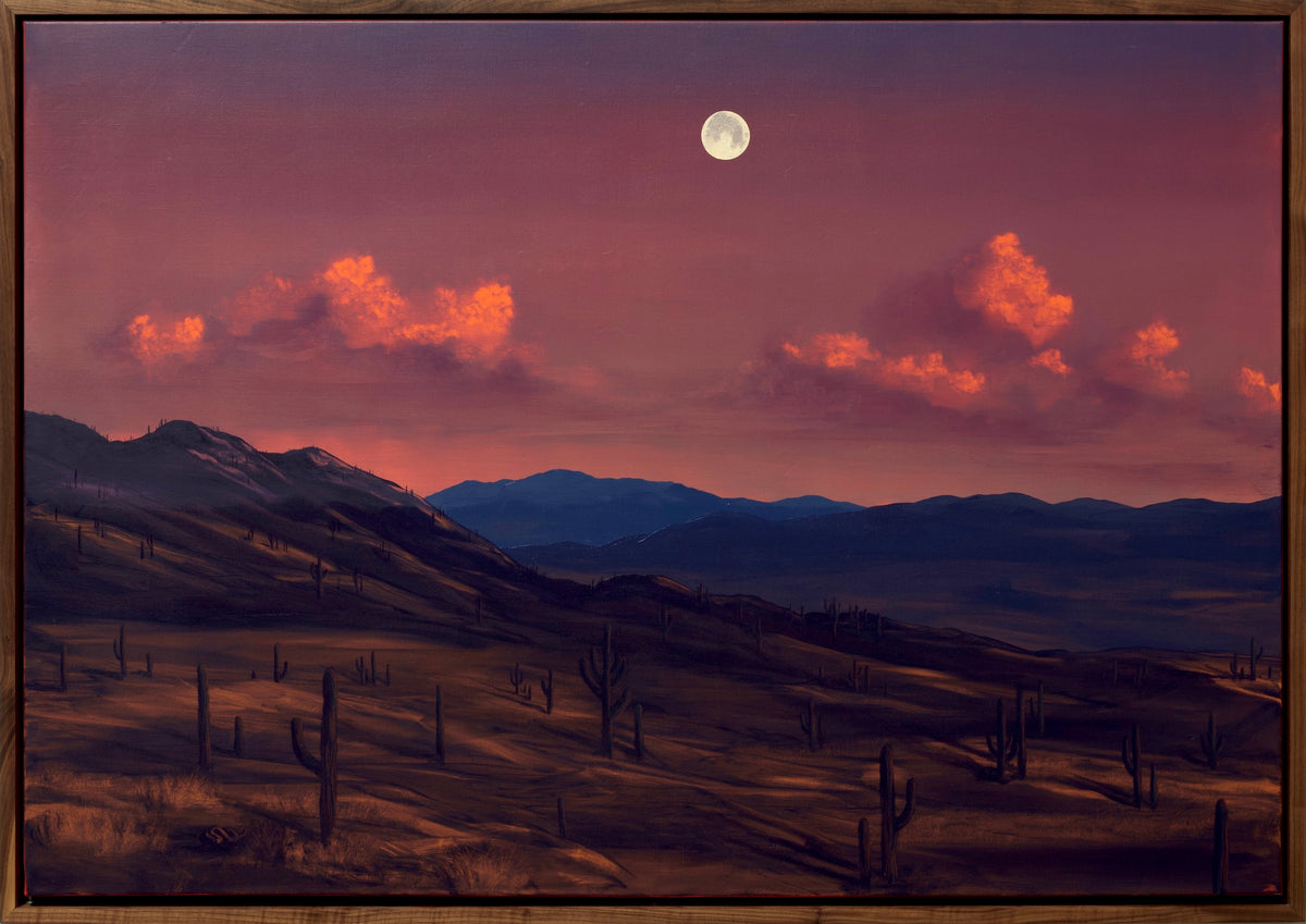 Saguaro National Park, August 2026 - 41" x 59"